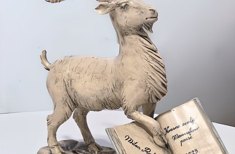 Istarska županija objavila Javni poziv za podnošenje prijedloga za dodjelu nagrade „Krasna zemljo-Meraviglioso paese“ za 2025. godinu