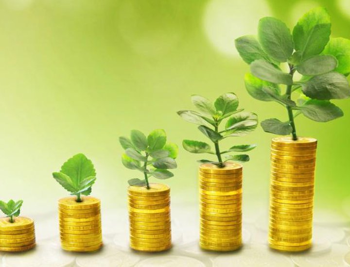 Istarska županija kontinuirano financijski podupire razvoj gospodarstva