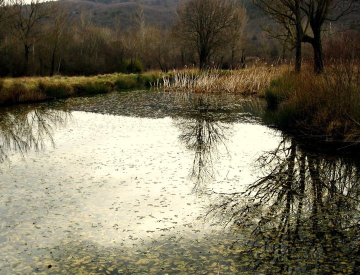 Objavljen Javni poziv za financiranje projekata udruga koje doprinose razvoju zelenog i inkluzivnog turizma, te selektivnih turističkih proizvoda na turistički manje razvijenim područjima