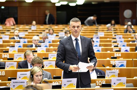 Il Presidente Flego: Il futuro bilancio dell'Unione Europea deve riflettere i nostri obiettivi