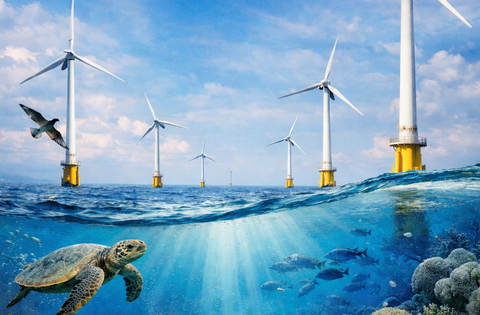 Poziv na sudjelovanje u Ljetnoj školi projekta BEYOND; Pregled aktualnog ekološkog konteksta te razumijevanje mogućih ekoloških implikacija pučinskih vjetroelektrana