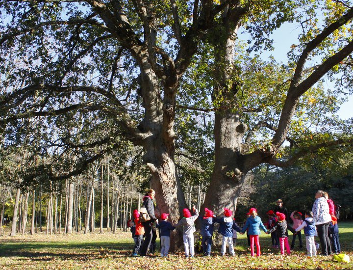I piccoli della Scuola dell'infanzia Zvjezdice alla scoperta dei segreti del Parco bosco Siana